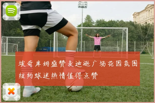 埃奇库姆盛赞麦迪逊广场花园氛围纽约球迷热情值得点赞