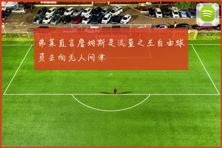 弗莱直言詹姆斯是流量之王自由球员去向无人问津